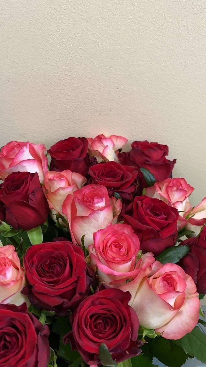 Flowers 2